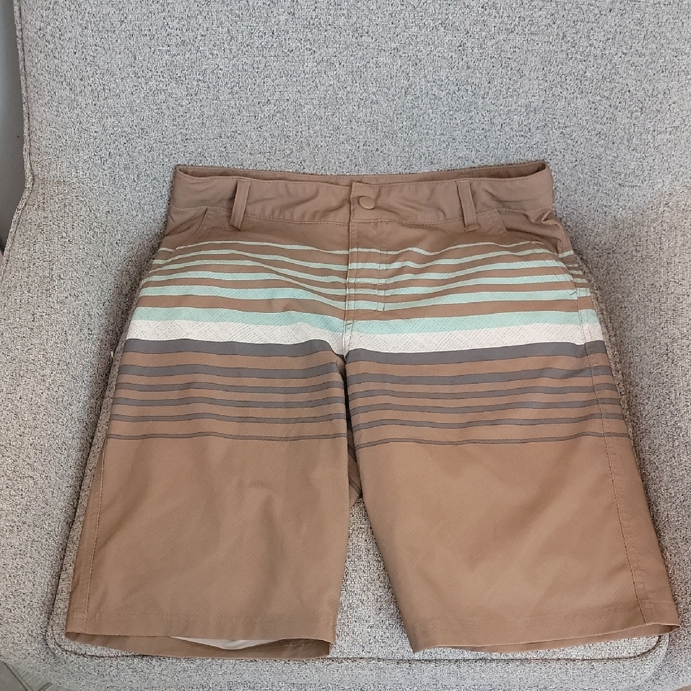 Striped Brown and Green Swim Shorts